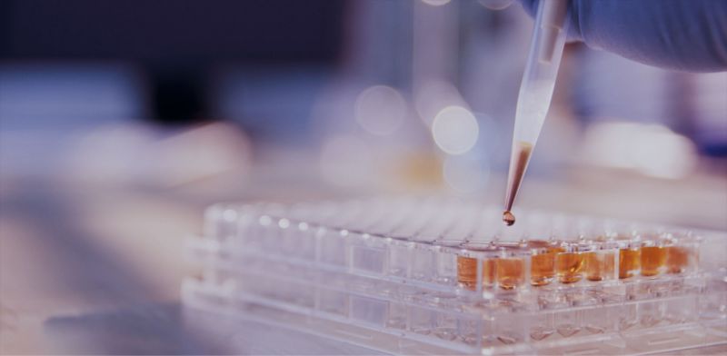 新鄉市核苷產業研究院有限公司